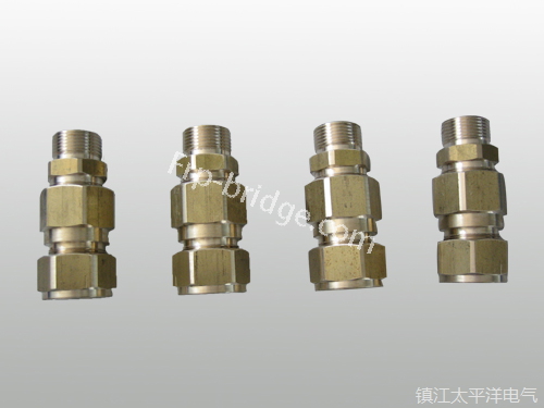 黃(huang)銅铠裝電纜(lan)密封接頭